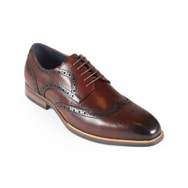 Azor Venezia Brown Brogue