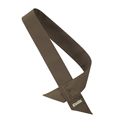 Brownie sash